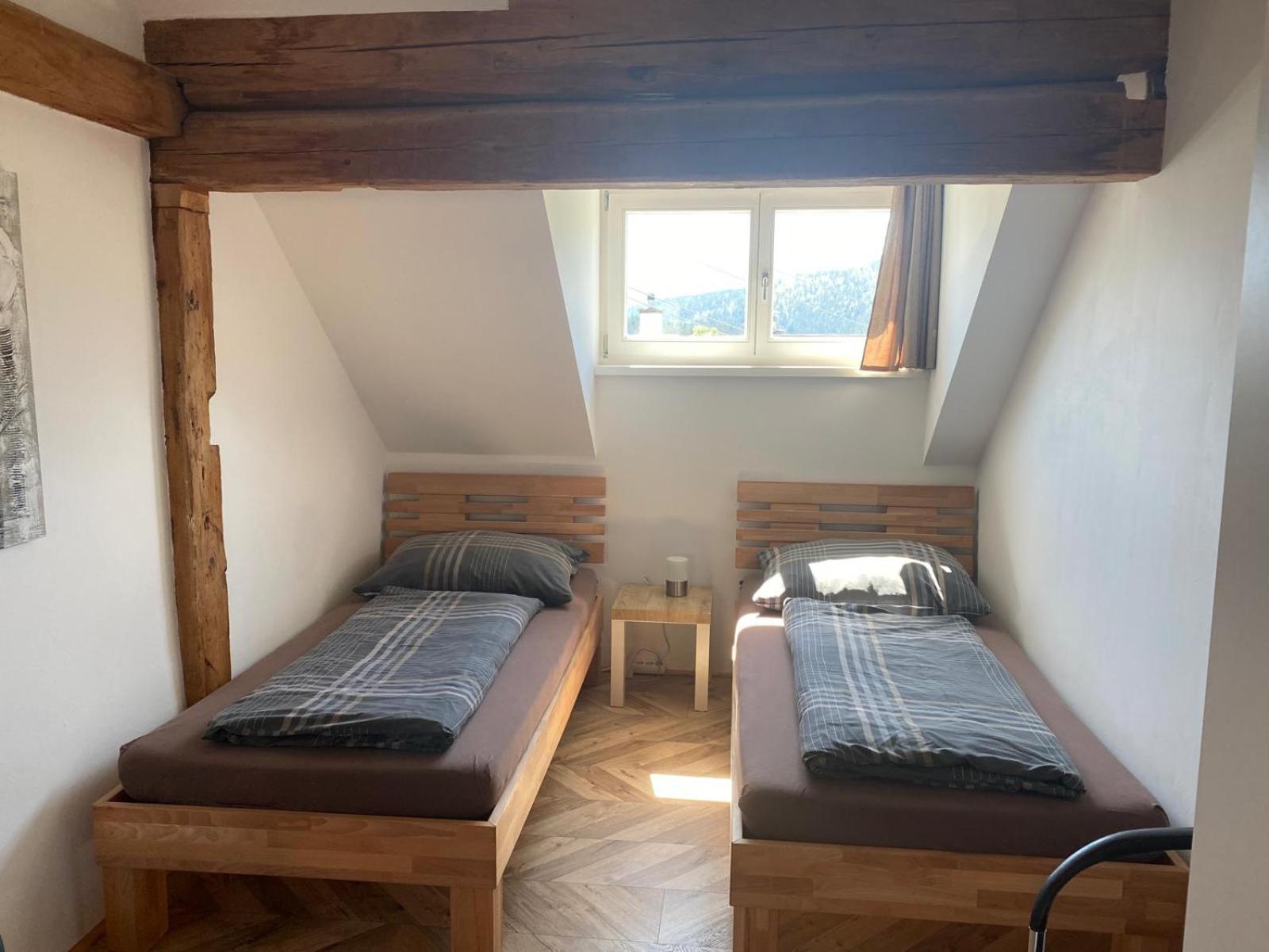 Haus Kampl - Appartement Aussee Bad Mitterndorf Luaran gambar